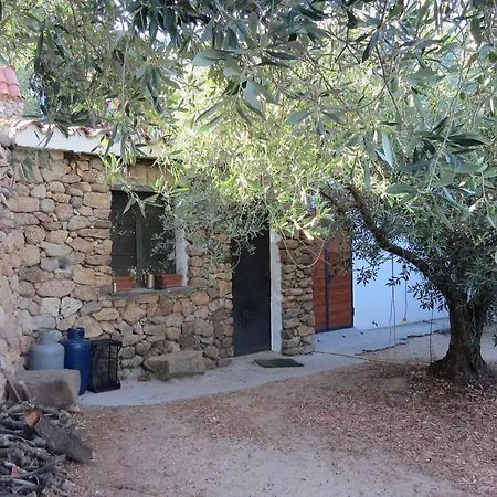 Hotel Casa In Campagna à Dorgali Extérieur photo